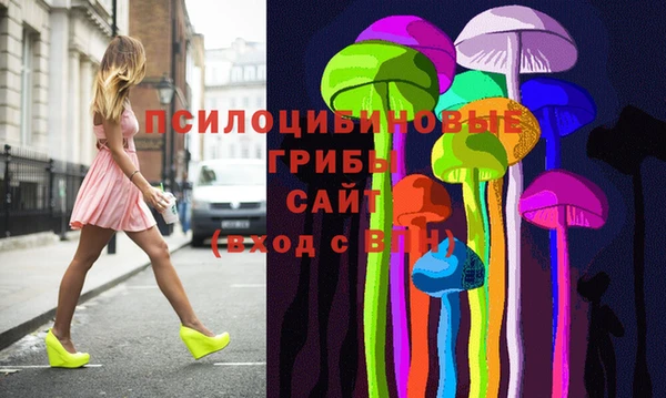 ешки Белокуриха