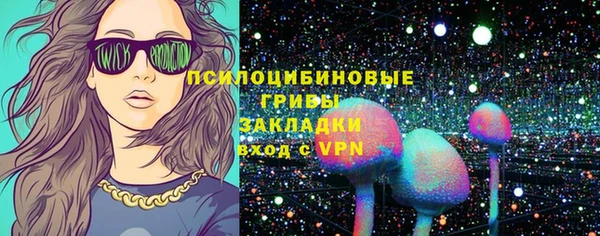ешки Белокуриха
