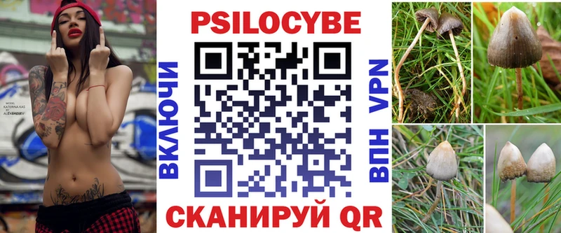 ОМГ ОМГ   Губкинский  Галлюциногенные грибы GOLDEN TEACHER  где можно купить наркотик 